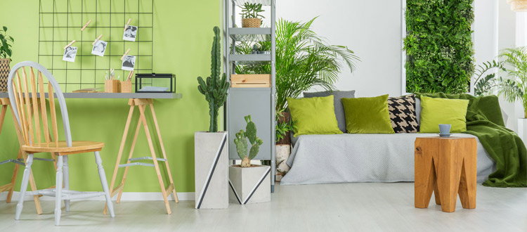 /blog/Asesoria
