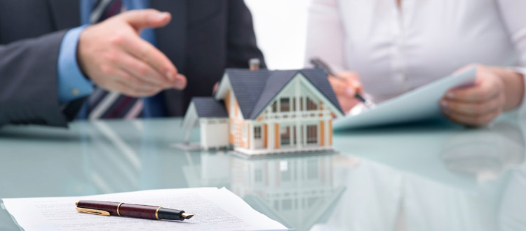 /blog/Asesoria
